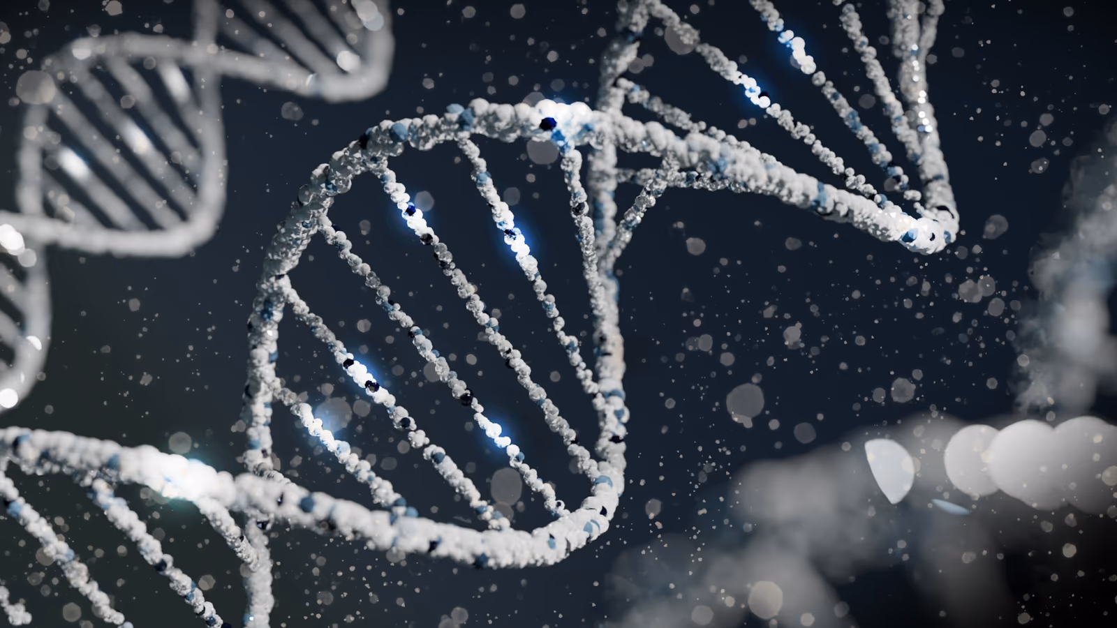 Renderização de duplas hélices de DNA iluminadas sobre fundo escuro, por Sangharsh Lohakare, Unsplash.