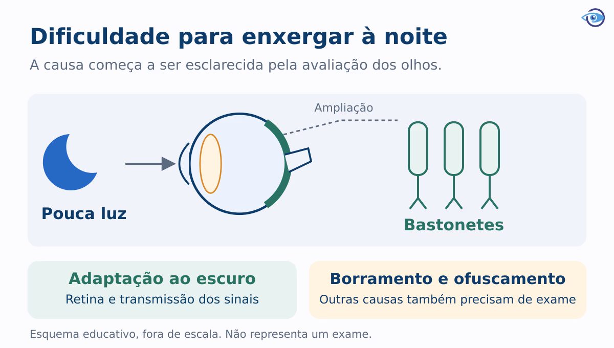 Esquema educativo de pouca luz chegando à retina e ativando bastonetes, com destaque para a diferença entre adaptação ao escuro e ofuscamento.