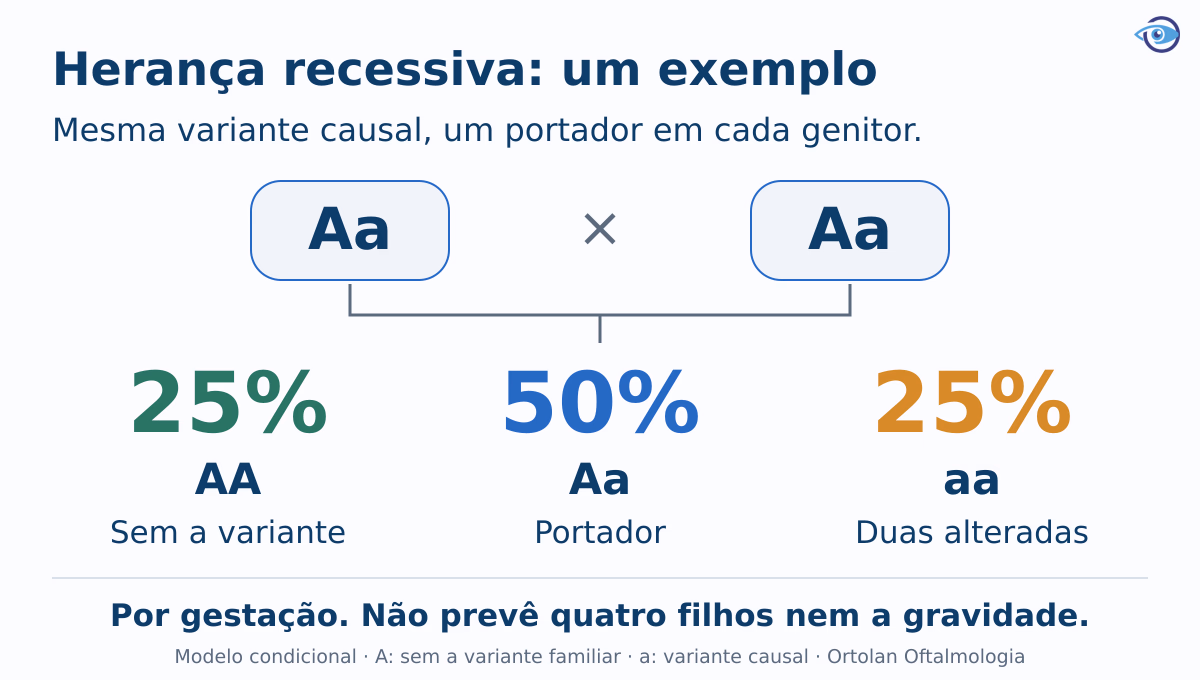 Exemplo condicional de duas pessoas portadoras da mesma variante recessiva, mostrando combinações possíveis por gestação, sem prever quatro nascimentos. Exemplo condicional de duas pessoas portadoras da mesma variante recessiva, mostrando combinações possíveis por gestação, sem prever quatro nascimentos.