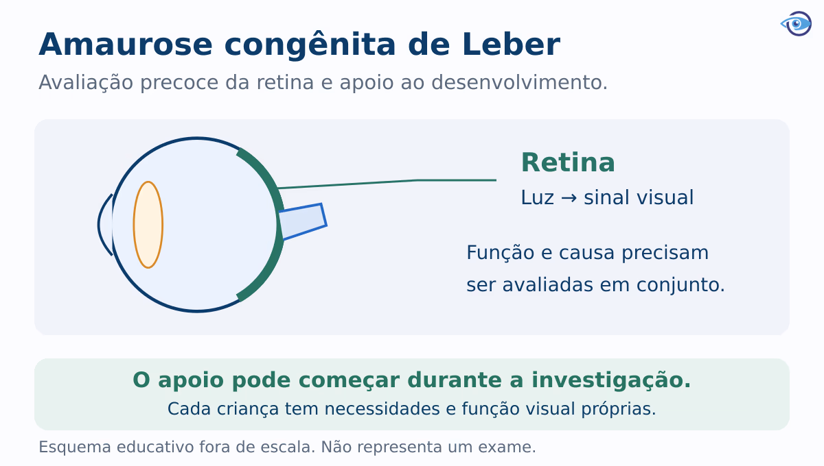 Esquema educativo localiza a retina no fundo do olho e relaciona sua função à avaliação visual, aos exames e ao apoio precoce ao desenvolvimento.