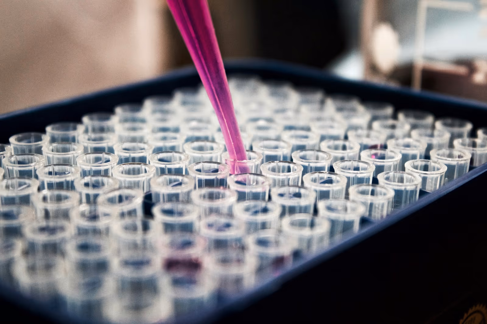 Fotografia de trabalho com pipeta e tubos em um laboratório. Fotografia de trabalho com pipeta e tubos em um laboratório.